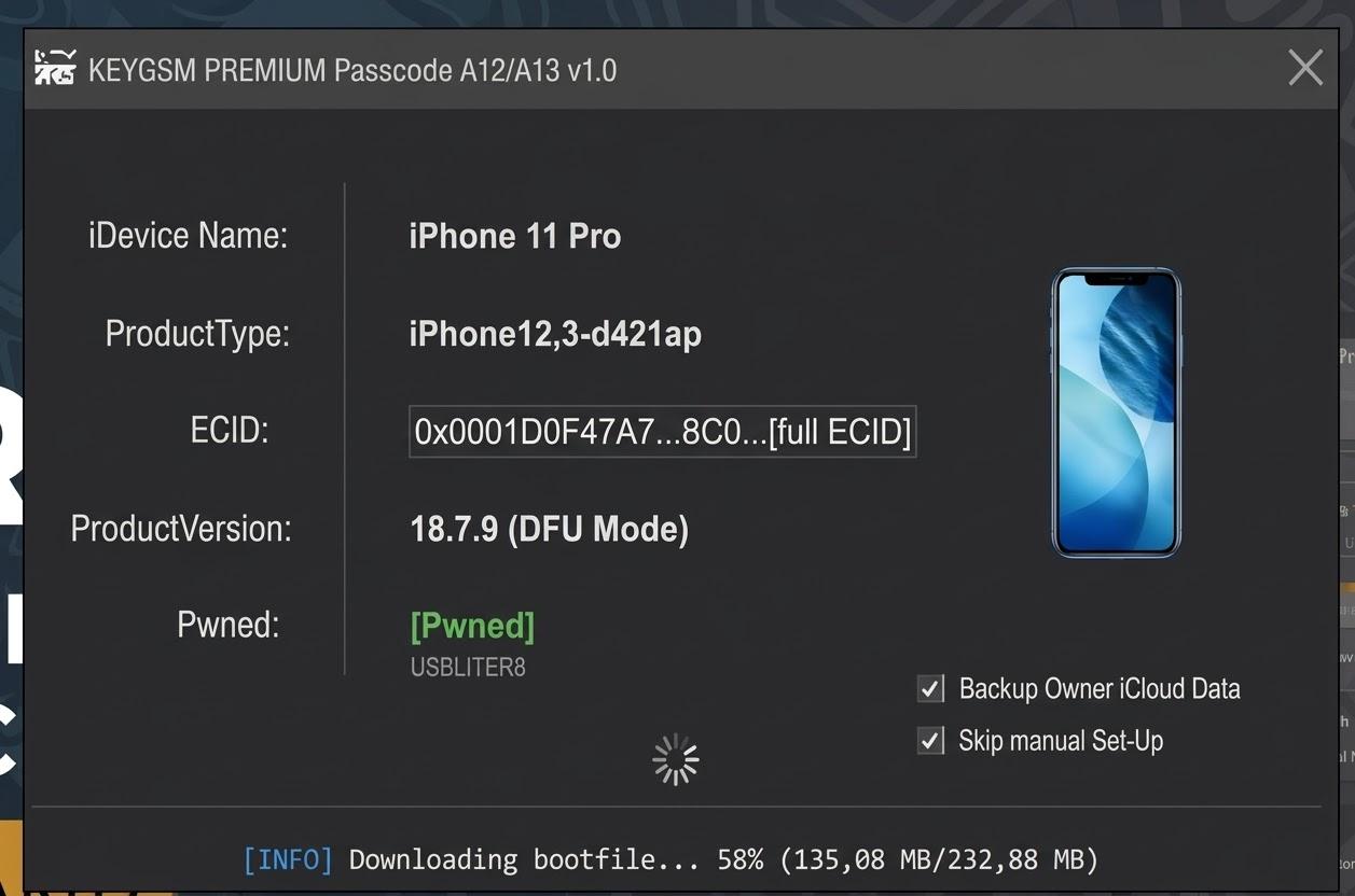 KEYGSM PREMIUM PASSCODE A12/A13 (iPhone XR-11 PRO MAX)18+/26+  WINDOWS TOOL